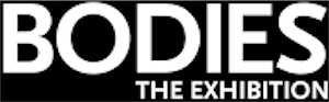 Bodies The Exhibit Logo for BODIES The Exhibition