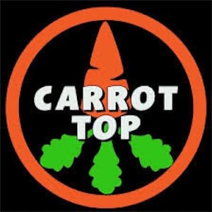 Carrot Top Carrot Top logo with orange circle and green leaves