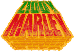 Ziggy Marley Colorful Ziggy Marley logo on orange background